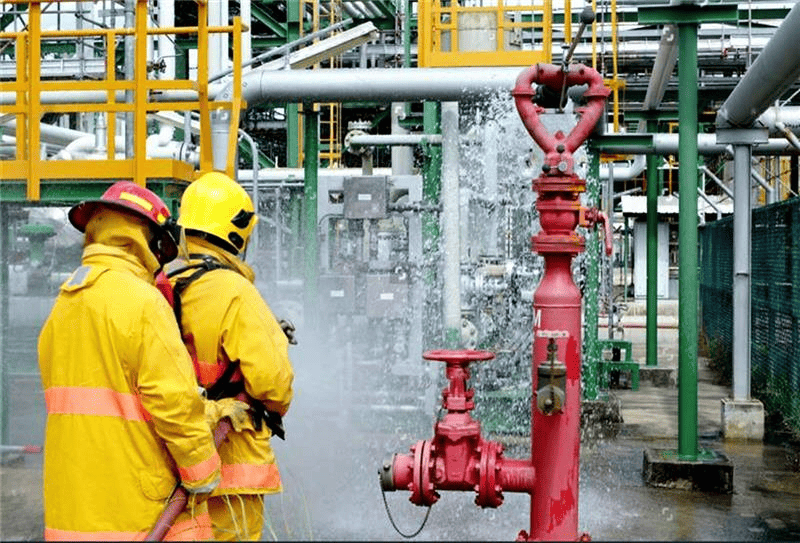 About Our Consulting Firm